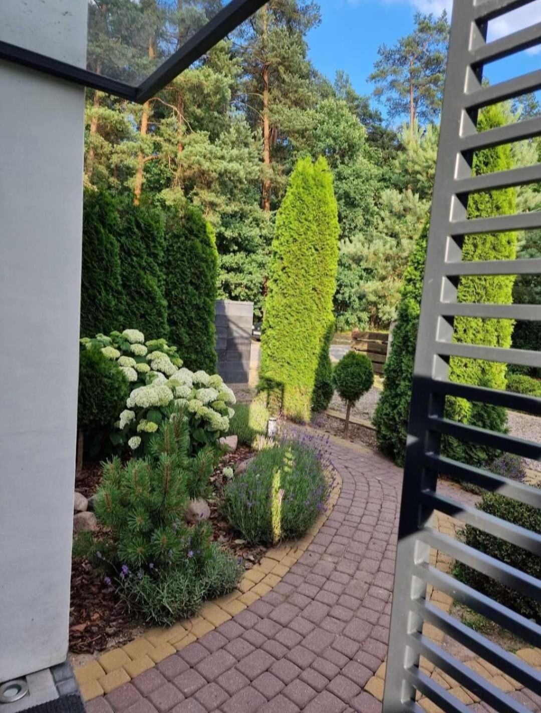 Apartamenty Pod Sosnami Ostroda Miedzylesie 6Os Номер фото